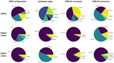 Coevolved Canonical Loops Conformations of Single-Domain Antibodies: A Tale of Three Pockets Playing Musical Chairs